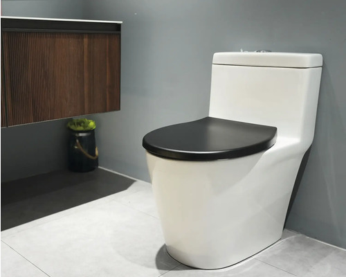 Keramiktoilette mit Spülkasten und WC-Sitz