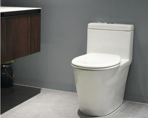 Toilette mit Spülkasten in einem Badezimmer.