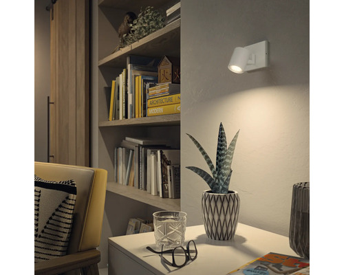 Wohnraum mit Wandleuchte, Regal und Zimmerpflanze auf einem Tisch