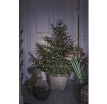 Weihnachtsbaum mit Lichterkette in einem Korb in einem Raum
