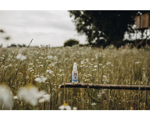 Insektenspray auf einem Holzstück in einer Blumenwiese
