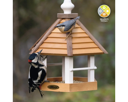 Vogelfutterhaus mit Zaunkönig und Buntspecht