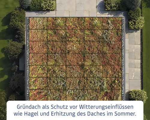 Ansicht eines Gründachs mit Vegetation und Kiesrand