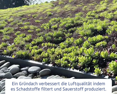 Begrüntes Dach mit Pflanzen und Kieseln für verbesserte Luftqualität