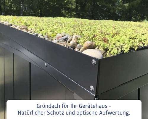 Detailansicht eines Gerätehaus Gründachs mit Bepflanzung und Steinen