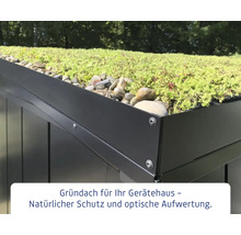Nahaufnahme eines Gerätehausdachs mit Bepflanzung und Steinen.