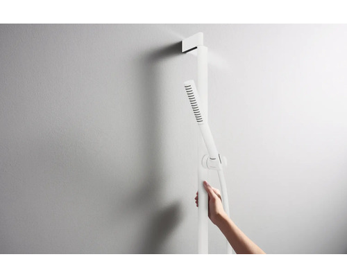 Duschstange mit Handbrause und Schlauch vor einer Wand