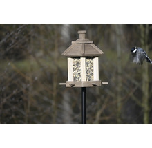 Vogelfutterhaus aus Holz mit Ständer und fliegendem Vogel