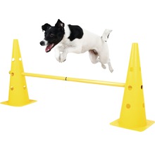 Agility Pylonen-Hürden Set inkl. 6 Pylonen und 3 Kunststoffstangen
