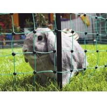 Kaninchennetz Einzelspitze elektrifizierbar 50 m x 65 cm grün-thumb-2 Kaninchennetz Einzelspitze elektrifizierbar 50 m x 65 cm grün-thumb-2