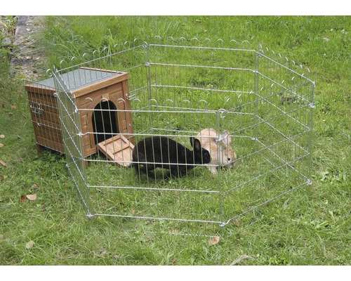 Kaninchenstall mit Freilaufgehege und zwei Kaninchen auf einer Wiese