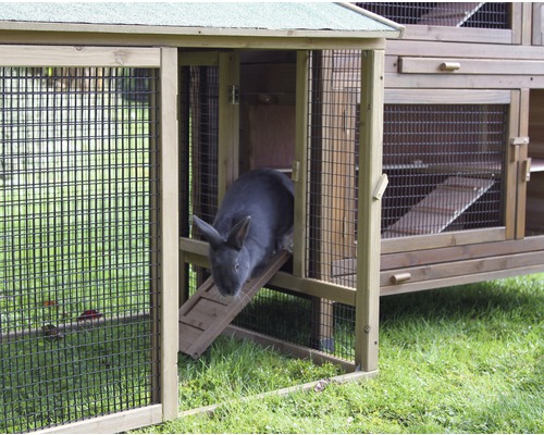 Holzhasenstall mit Rampe und einem Kaninchen