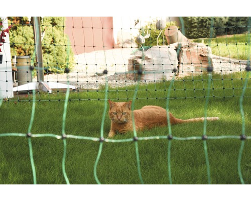 Netz für Katzen, kleine Hunde, Hasen 25 m, 9 Pfähle