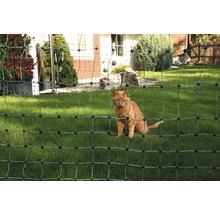 Katze hinter einem Katzenschutznetz im Garten