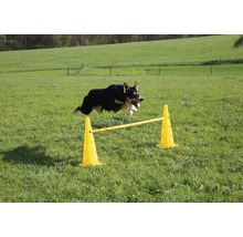 Agility Pylonen-Hürden Set inkl. 6 Pylonen und 3 Kunststoffstangen
