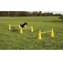 Agility Pylonen-Hürden Set inkl. 6 Pylonen und 3 Kunststoffstangen