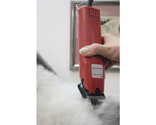 Eine Hand benutzt eine elektrische Schermaschine, um das Fell eines Tieres zu schneiden.