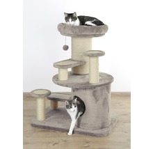 Katzenkratzbaum mit Liegeflächen und einer Katze, die aus einer Höhle schaut