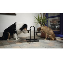 Zwei Hunde fressen von einem erhöhten Futterständer im Freien.