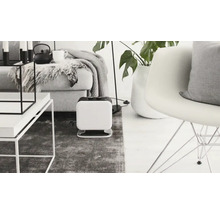 Wohnzimmer mit Sofa, Tisch, Zimmerpflanze und Heizlüfter