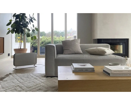 Wohnzimmer mit Sofa, Couchtisch, Zimmerpflanze und Heizgerät