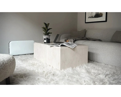 Wohnzimmer mit Sofa, Teppich, Couchtisch, Heizkörper und Dekoration