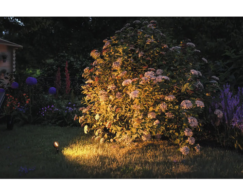Beleuchteter Garten mit Strauch, Rasen und Gartenleuchte