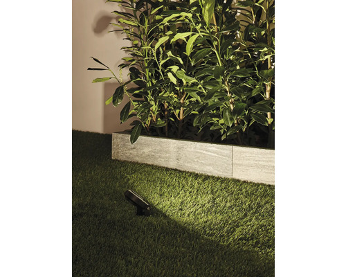 Garten mit Rasen, Pflanzen und einem Bodenstrahler