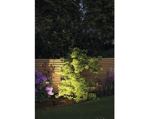 Beleuchteter Garten mit Pflanzen und Holzzaun