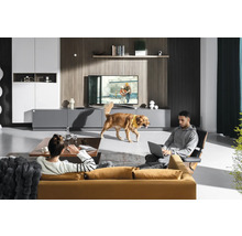 Wohnzimmer mit Sofa, Sessel, Lowboard und Fernseher. Zwei Personen und ein Hund befinden sich im Raum.