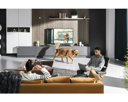Wohnzimmer mit Sofa, Sessel, Lowboard und Fernseher. Zwei Personen und ein Hund befinden sich im Raum.