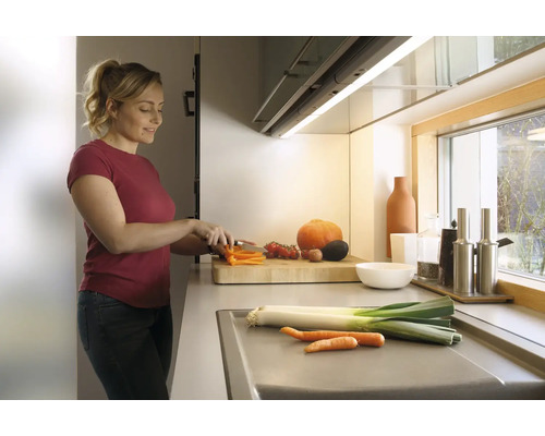 Frau schneidet Gemüse in einer Küche mit Arbeitsplatte, Schneidebrett, Spüle und Fenstern