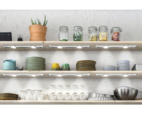 Regale mit Geschirr, Gläsern, Vorratsgläsern, Topfpflanze und Unterbauleuchten