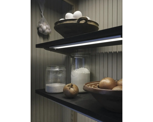 Regale mit Eiern, Knoblauch, Mehl und Zwiebeln in Gläsern und Schalen