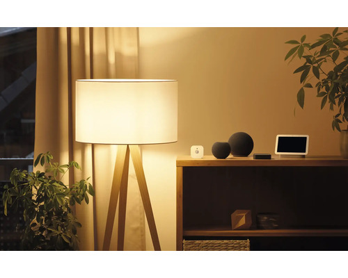 Beleuchteter Raum mit Stehlampe, Regal und Smart Home Geräten