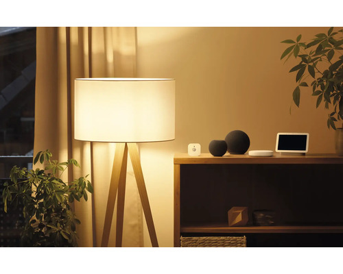 Gemütliche Inneneinrichtung mit Stehlampe, Smart Home Geräten und Zimmerpflanze