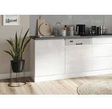 Held Möbel Spülenschrank Kiel BxTxH 120 x 60 x 86 cm weiß hochglanz zerlegt 667.6340