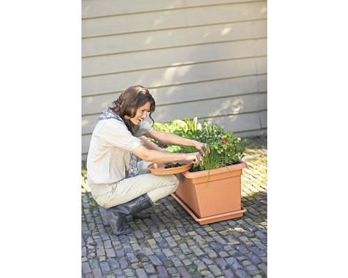 Frau erntet Gemüse aus einem rechteckigen Pflanzkasten mit Untersetzer