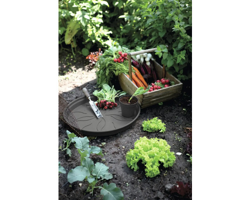 Gartenszene mit geerntetem Gemüse in Holzkiste und Pflanzschale mit Gartenwerkzeug.