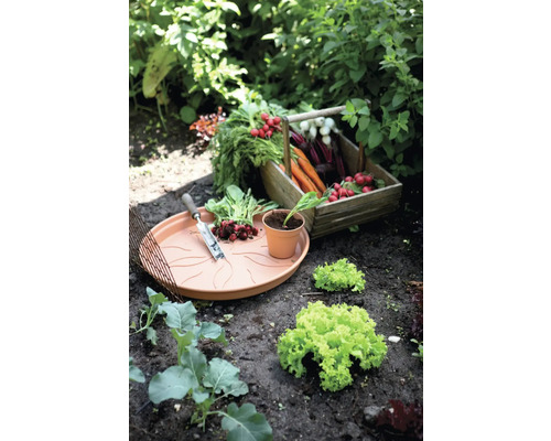 Gemüsegarten mit Gemüsekorb, Pflanzschale, Pflanzwerkzeug und Salatpflanzen