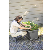 Pflanzkübel elho Green Basics XXL Kunststoff 80x39x34 cm anthrazit