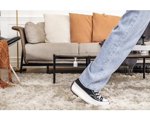 Szene eines Wohnzimmers mit Teppich, Couch, Tisch und Person