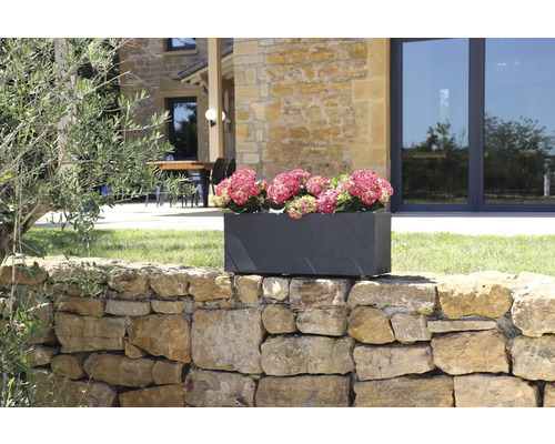 Rechteckiger Pflanzkasten aus Stein mit rosa Hortensien auf einer Steinmauer im Garten.