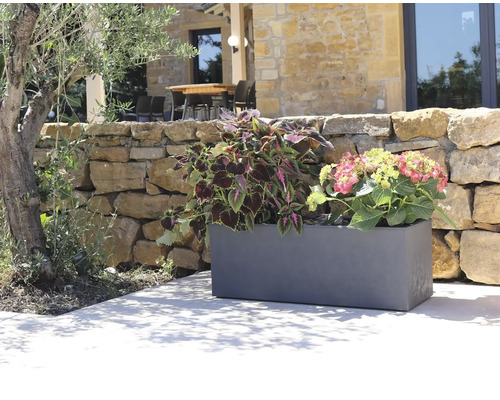 Blumenkasten aus Kunststoff mit Pflanzen vor einer Steinmauer