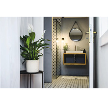 Dekoratives Badezimmer mit Spathiphyllum im Topf, Waschbecken und Spiegel