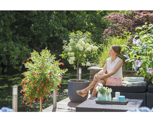 Szene im Garten mit Frau, die auf einer Bank sitzt, umgeben von blühenden Pflanzen wie Granatapfelbaum und Hortensien