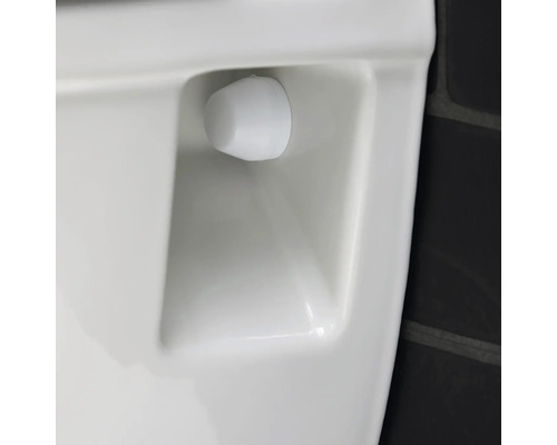 Detailansicht eines Urinals mit Spülknopf