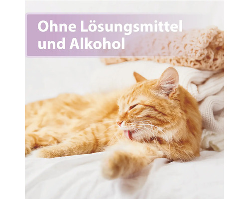 Katze putzt sich auf Textilien, Hinweis ohne Lösungsmittel und Alkohol