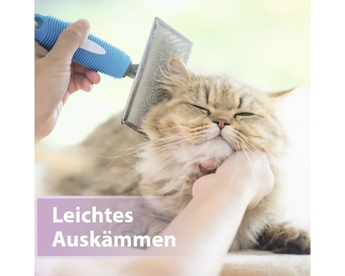 Katze wird mit einer Bürste gekämmt