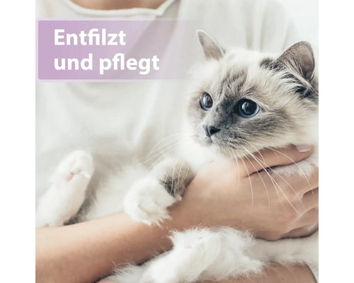 Eine Person hält eine Katze, die entfilzt und gepflegt wird.